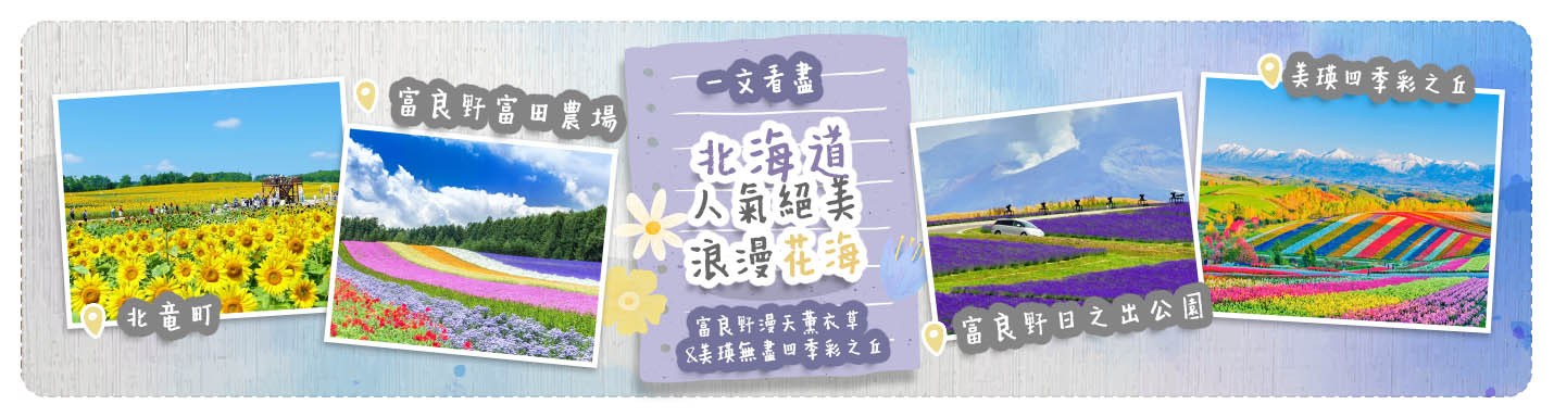 【北海道花田2024】一文看盡北海道人氣絕美浪漫花海 富良野漫天薰衣草 & 美瑛無盡四季彩之丘