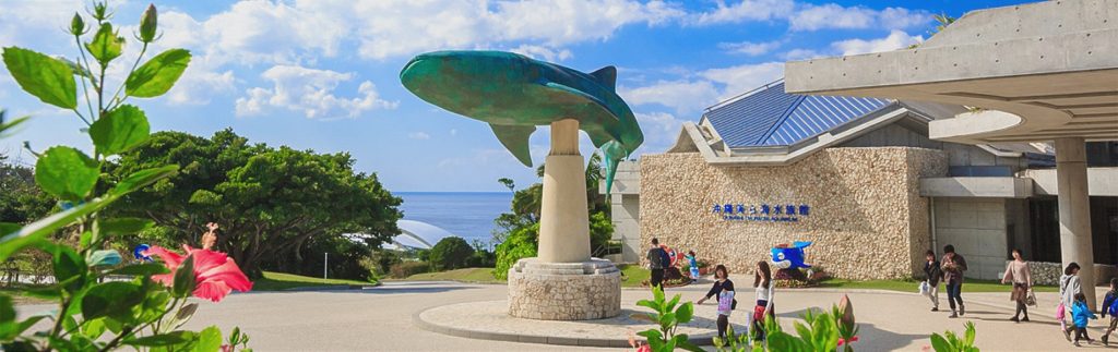 【沖繩景點2024】沖繩自由行必睇行程!11大必去沖繩景點推介 細賞獨特琉球風情面貌 & 青之洞窟感受海洋世界奧秘 沖繩景點|美麗海水族館