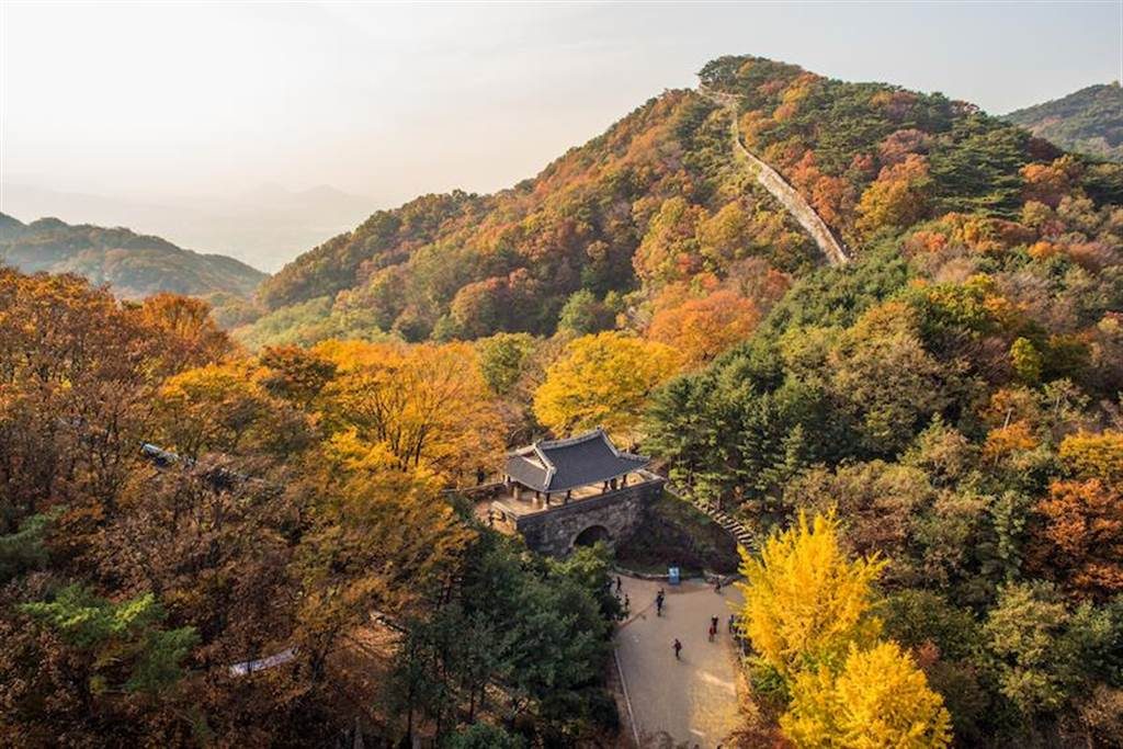 【首爾紅葉2024】首爾紅葉人氣景點!絕美6大首爾迷人賞楓熱點 賞盡韓風紅葉美景 首爾紅葉 | 京畿道南漢山城