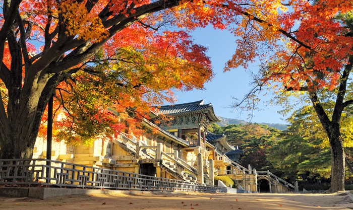 釜山紅葉 | 佛國寺