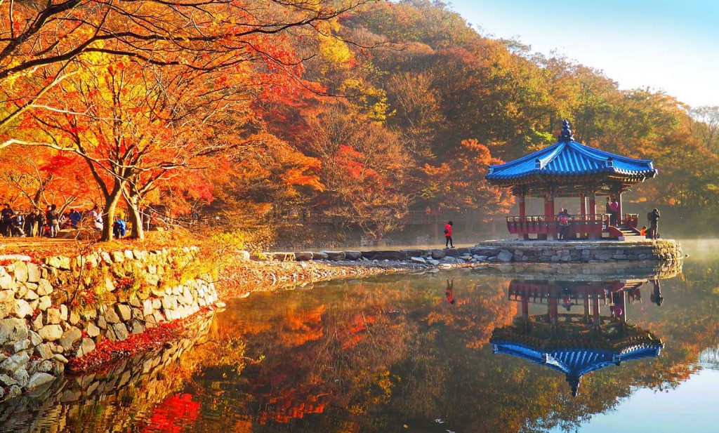 【首爾紅葉2024】首爾紅葉人氣景點!絕美6大首爾迷人賞楓熱點 賞盡韓風紅葉美景 首爾紅葉 | 全羅道內藏山