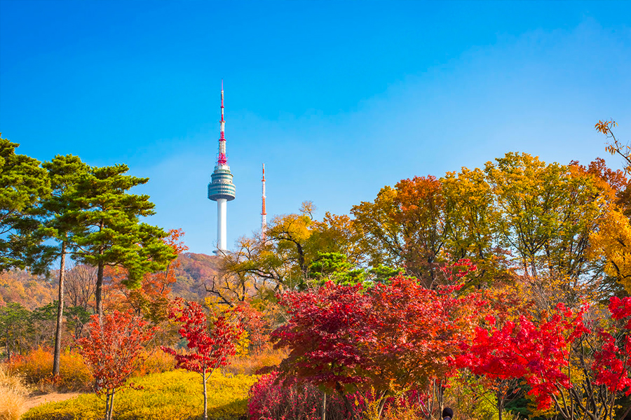 首爾紅葉 | 南山公園