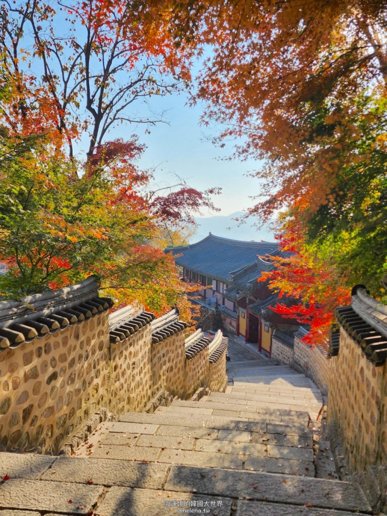 【釜山紅葉2024】釜山紅葉打卡秘景!一文看盡5大釜山賞楓勝地 浪漫同遊賞楓盡在釜山 釜山紅葉 | 金井山梵魚寺