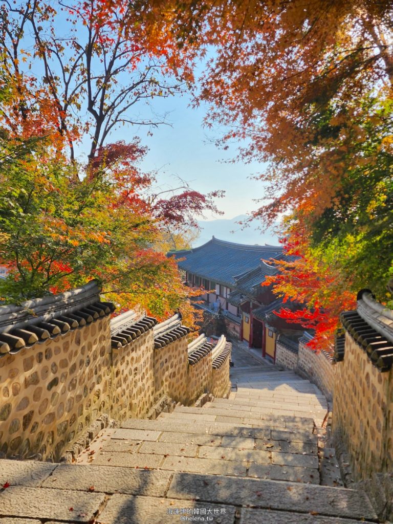 釜山紅葉 | 金井山梵魚寺