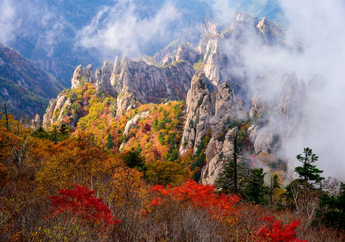 首爾紅葉 | 雪嶽山國立公園