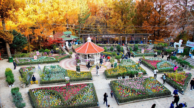 【釜山紅葉2024】釜山紅葉打卡秘景!一文看盡5大釜山賞楓勝地 浪漫同遊賞楓盡在釜山 釜山紅葉 | 香草之丘