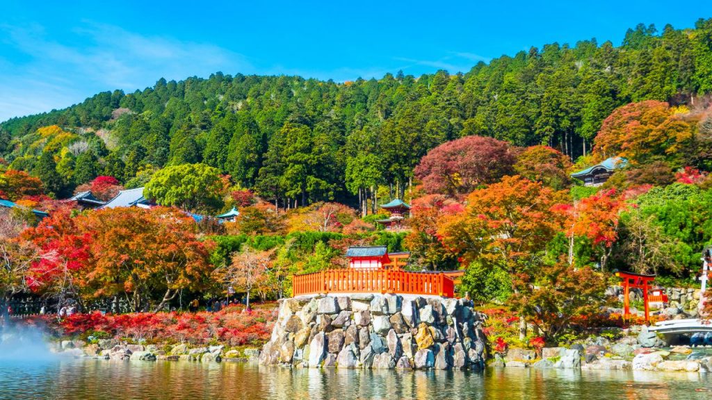 大阪紅葉 | 勝尾寺