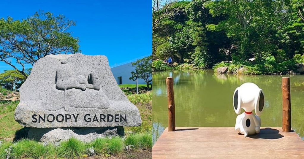 韓國新景點2023 | 濟州島史努比庭園