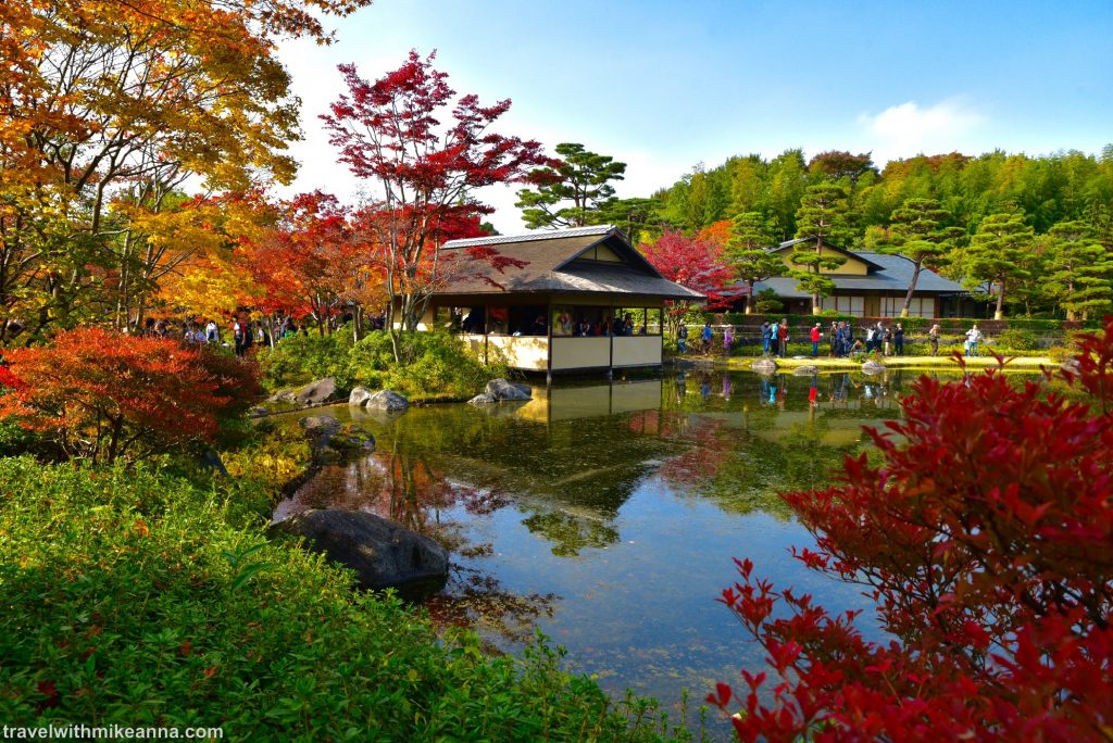 【東京紅葉2024】東京紅葉必去景點攻略!嚴選7大東京紅葉人氣景點 飽覽和風紅葉美景 東京紅葉 | 國營昭和紀念公園