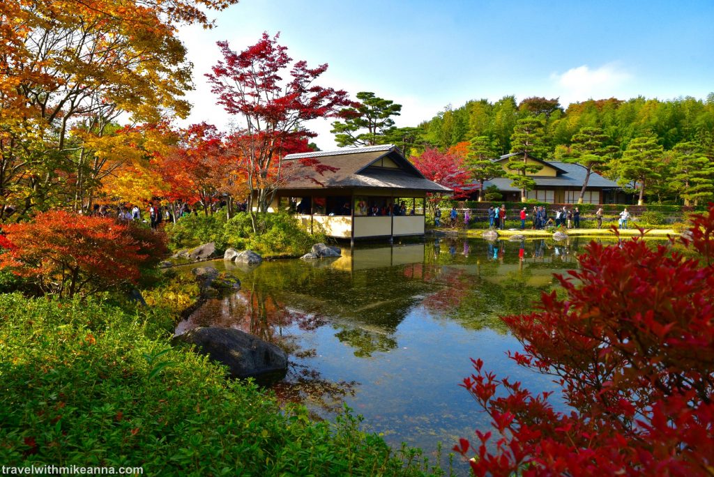 東京紅葉 | 國營昭和紀念公園