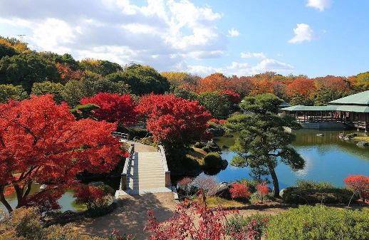 大阪紅葉 | 大仙公園