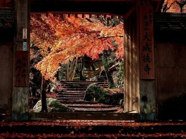 大阪紅葉 | 大威德寺