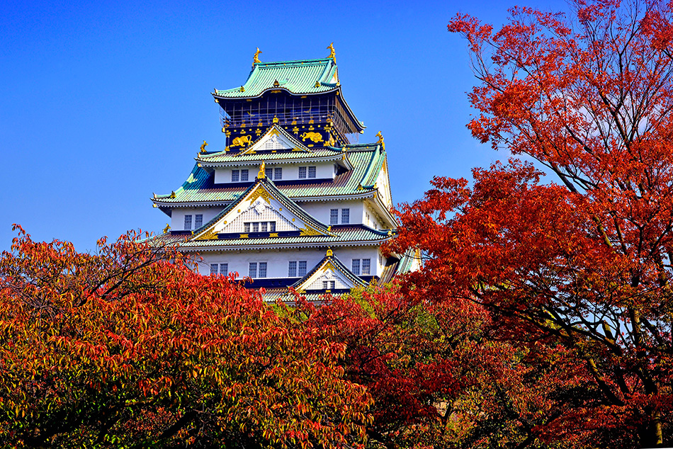 大阪紅葉 | 大阪城公園