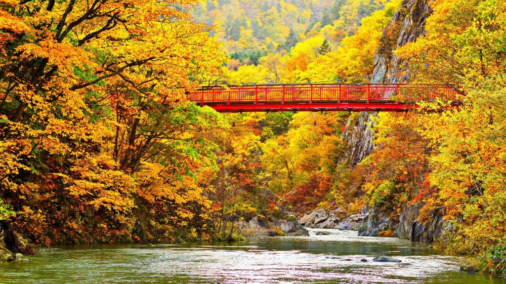 北海道紅葉 | 定山溪