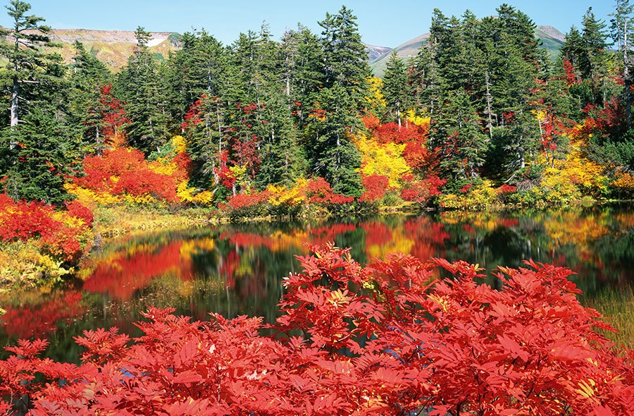 北海道紅葉 | 定山溪