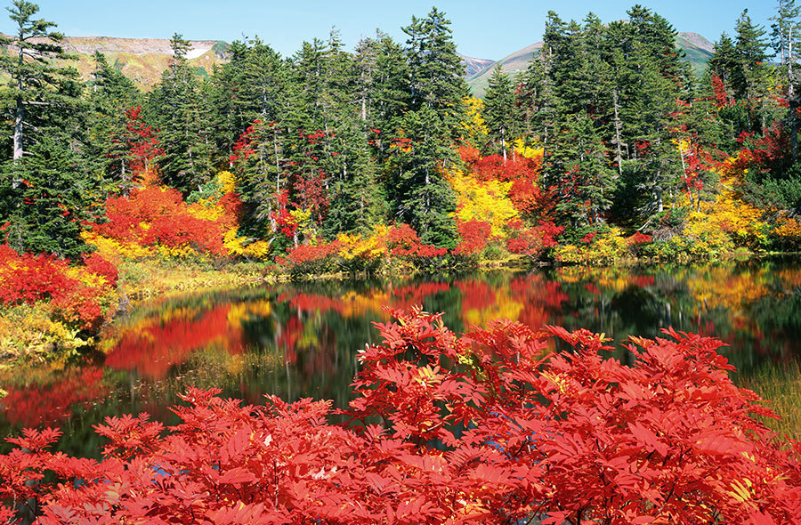 【北海道紅葉2023】北海道紅葉景點推介!一文看盡5大北海道紅葉熱點 賞盡浪漫北海道紅葉絕景 北海道紅葉 | 定山溪