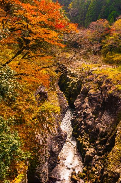 九州紅葉 | 宮崎高千穗峽