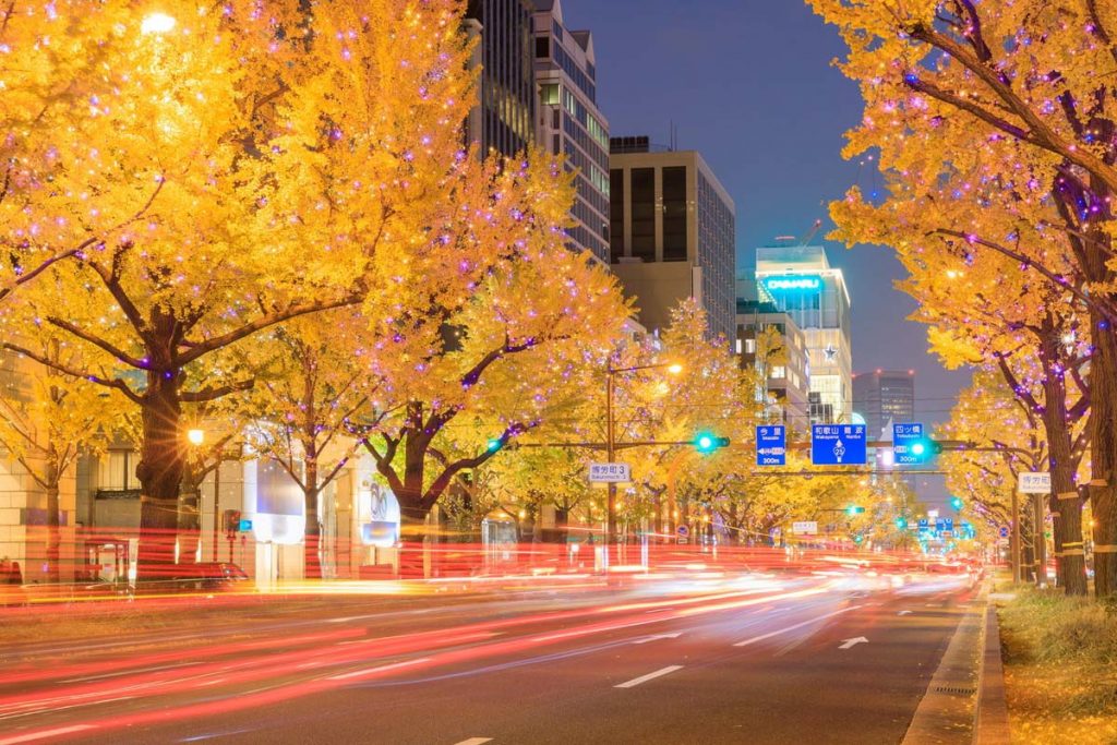 大阪銀杏 | 御堂筋