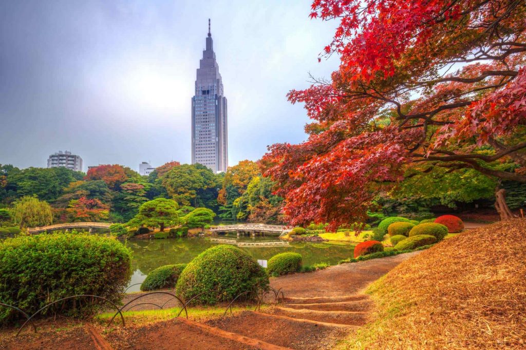【東京紅葉2024】東京紅葉必去景點攻略!嚴選7大東京紅葉人氣景點 飽覽和風紅葉美景 東京紅葉 | 新宿御苑
