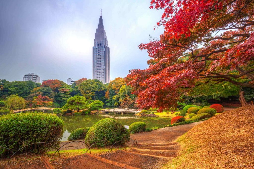 東京紅葉 | 新宿御苑