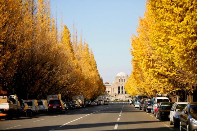 【東京紅葉2024】東京紅葉必去景點攻略!嚴選7大東京紅葉人氣景點 飽覽和風紅葉美景 東京紅葉 | 明治神宮外苑