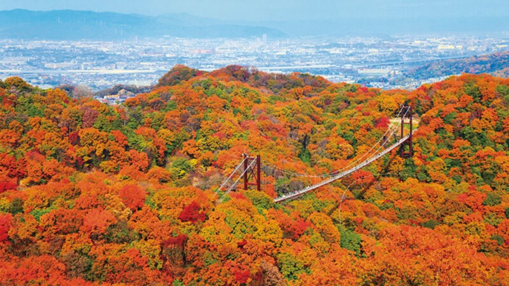 大阪紅葉 | 星田園地