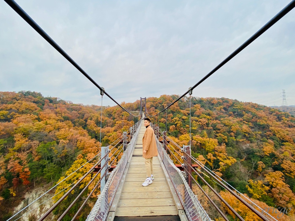 大阪紅葉 | 星田園地