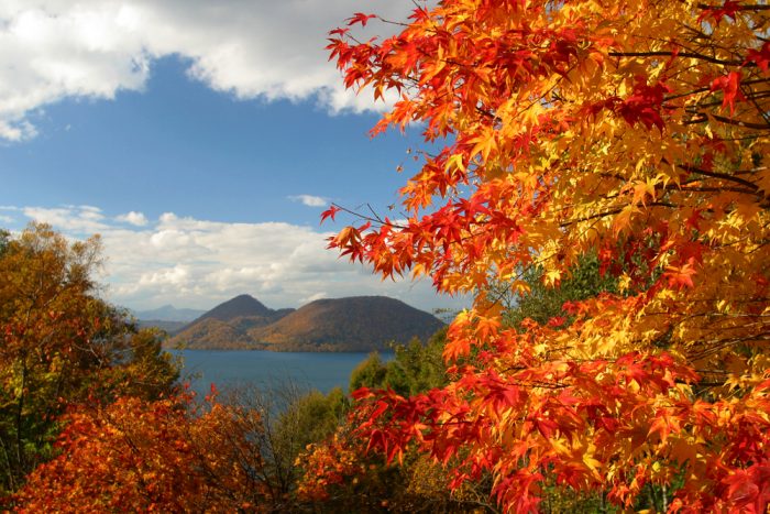 北海道紅葉 | 洞爺湖