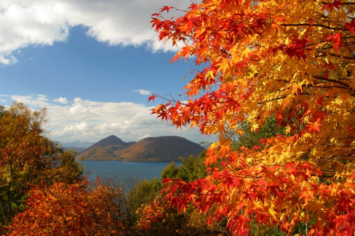 【北海道紅葉2023】北海道紅葉景點推介!一文看盡5大北海道紅葉熱點 賞盡浪漫北海道紅葉絕景 北海道紅葉 | 洞爺湖