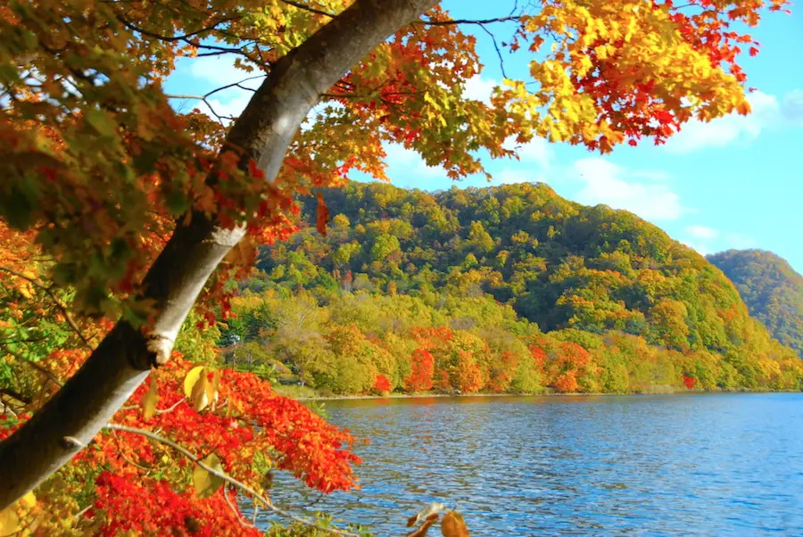 【北海道紅葉2023】北海道紅葉景點推介!一文看盡5大北海道紅葉熱點 賞盡浪漫北海道紅葉絕景 北海道紅葉 | 洞爺湖