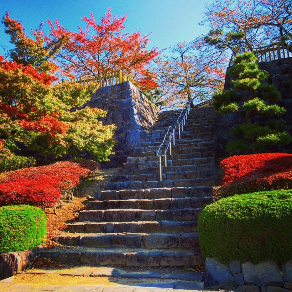 九州紅葉 | 熊本舞鶴城公園