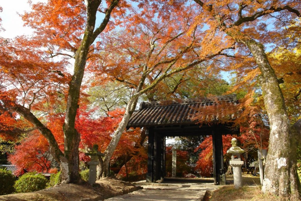 九州紅葉 | 福岡秋月城跡