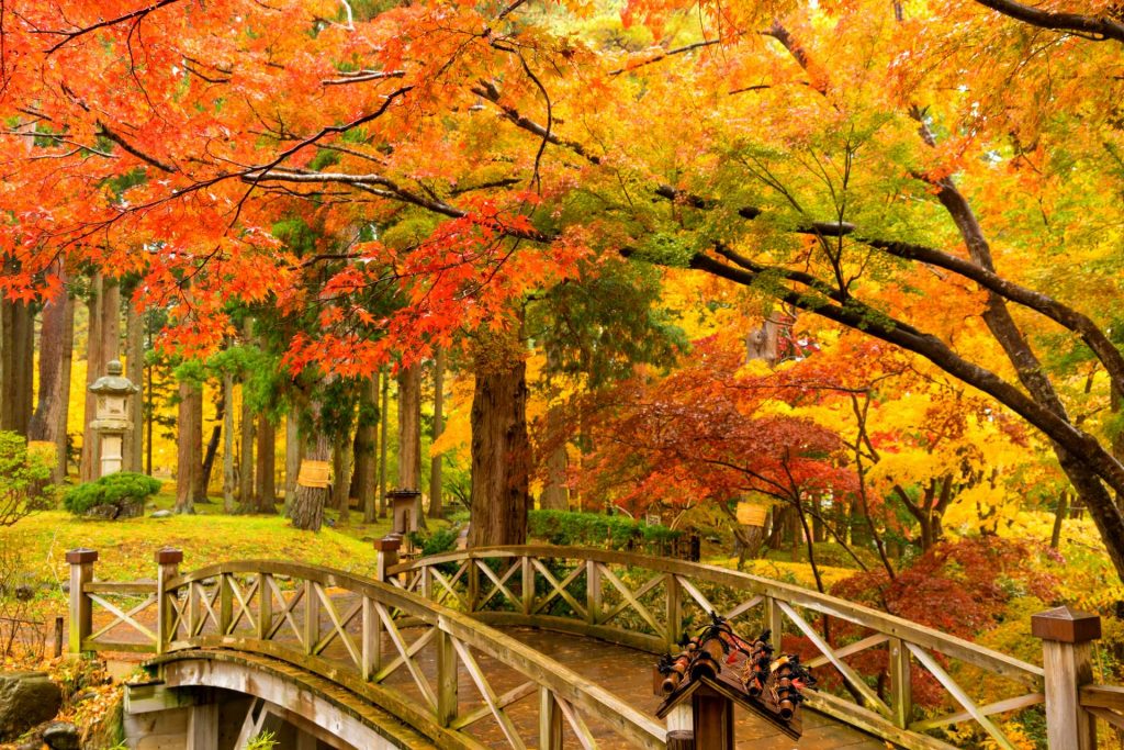 【北海道紅葉2023】北海道紅葉景點推介!一文看盡5大北海道紅葉熱點 賞盡浪漫北海道紅葉絕景 北海道紅葉 | 見晴公園