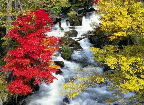 北海道紅葉 | 阿寒湖