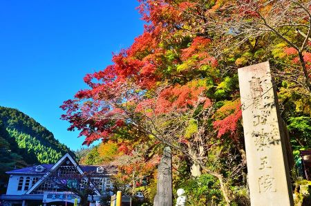 【東京紅葉2024】東京紅葉必去景點攻略!嚴選7大東京紅葉人氣景點 飽覽和風紅葉美景 東京紅葉 | 高尾山