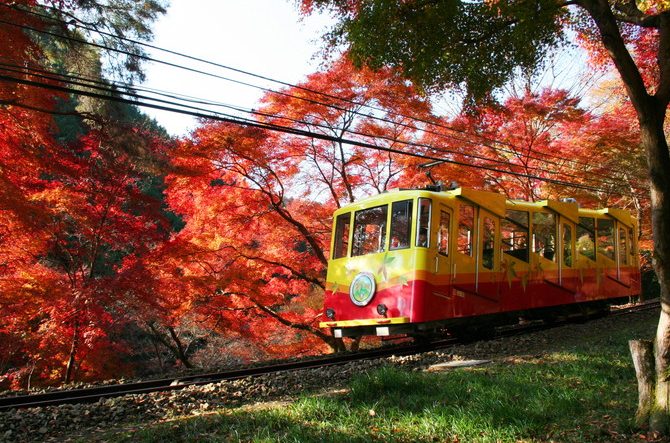 東京紅葉 | 高尾山