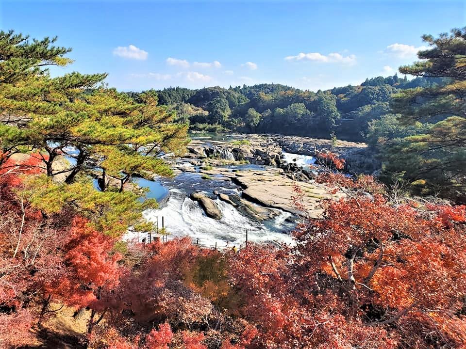 九州紅葉 | 鹿兒島曾木瀑布公園