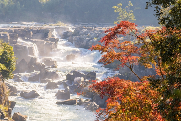 九州紅葉 | 鹿兒島曾木瀑布公園