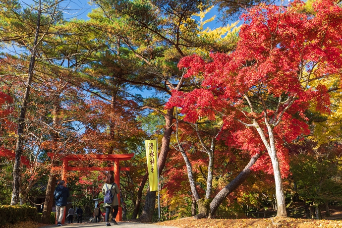 九州紅葉 | 鹿兒島曾木瀑布公園