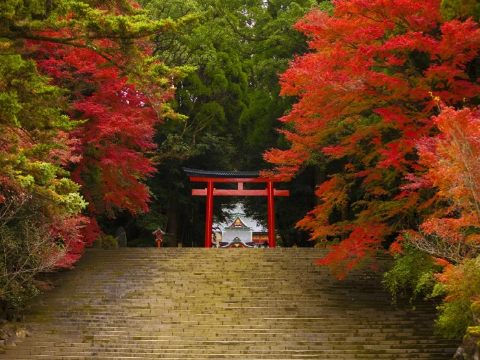 九州紅葉 | 鹿兒島霧島神宮