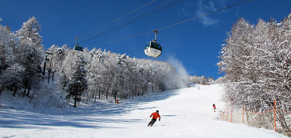 東京滑雪場攻略2024 | 富士見全景度假村