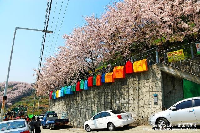 釜山櫻花2024 | 7大釜山賞櫻必去景點攻略 浪漫櫻花絕景行程 人氣釜山櫻花熱點 | 甘川洞文化村