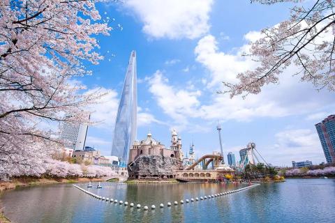 人氣首爾櫻花熱點 | 石村湖水櫻花慶典