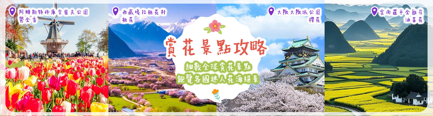 賞花景點攻略 | 細數全球賞花景點 飽覽各國迷人花海絕景