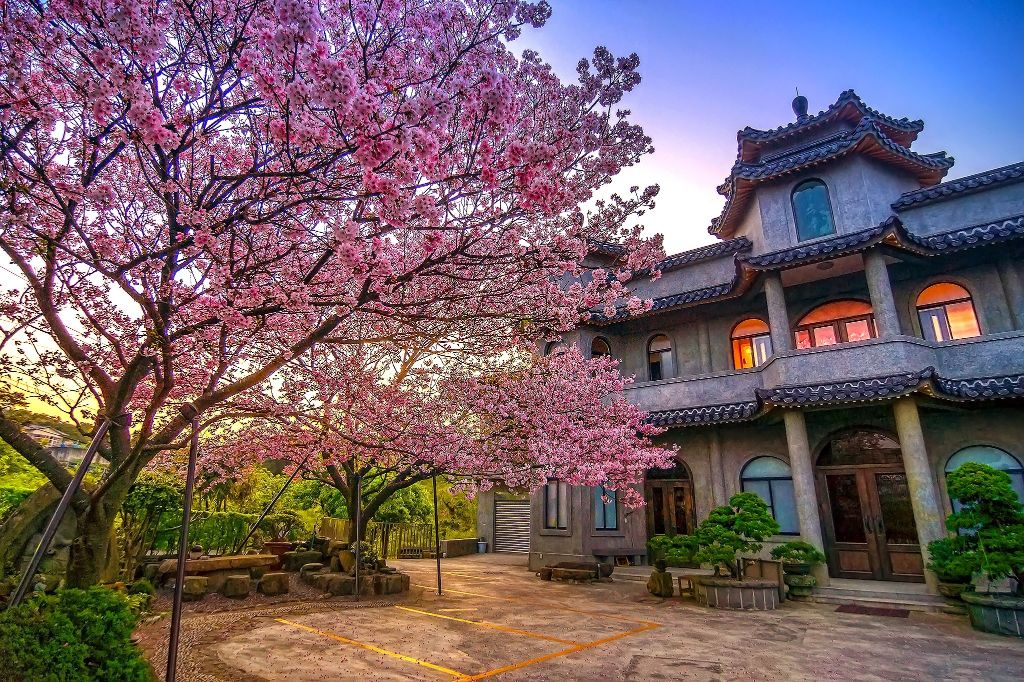 賞花景點攻略 | 細數全球賞花景點 飽覽各國迷人花海絕景 賞花景點攻略 | 細數全球賞花景點 飽覽各國迷人花海絕景