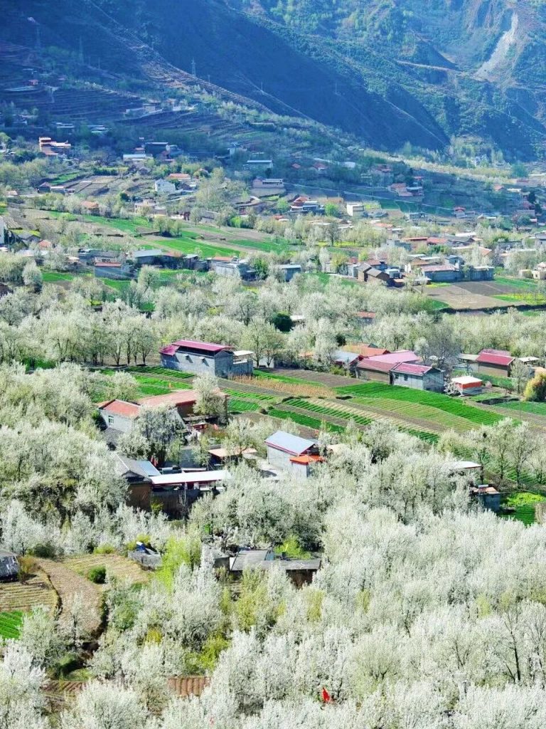賞花景點攻略 | 細數全球賞花景點 飽覽各國迷人花海絕景 賞花景點攻略 | 細數全球賞花景點 飽覽各國迷人花海絕景