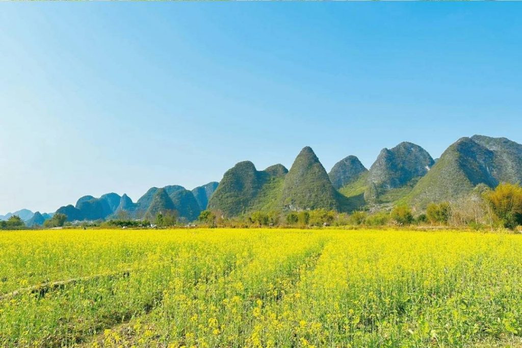 賞花景點攻略 | 細數全球賞花景點 飽覽各國迷人花海絕景 賞花景點攻略 | 細數全球賞花景點 飽覽各國迷人花海絕景