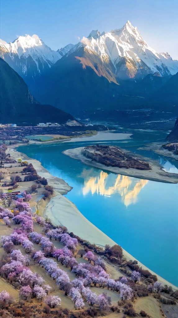 賞花景點攻略 | 細數全球賞花景點 飽覽各國迷人花海絕景 賞花景點攻略 | 細數全球賞花景點 飽覽各國迷人花海絕景