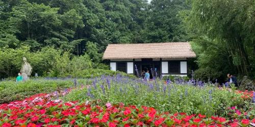 廬山景點 | 熱門廬山景點攻略 輕鬆暢遊江西廬山