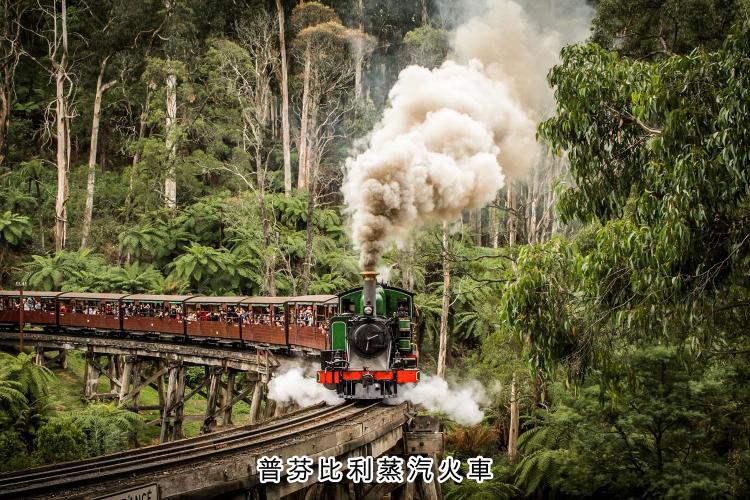 澳洲維多利亞州景點攻略 | 澳洲自由行必備 輕鬆玩盡墨爾本景點 澳洲維多利亞州景點攻略 | 澳洲自由行必備 輕鬆玩盡墨爾本景點